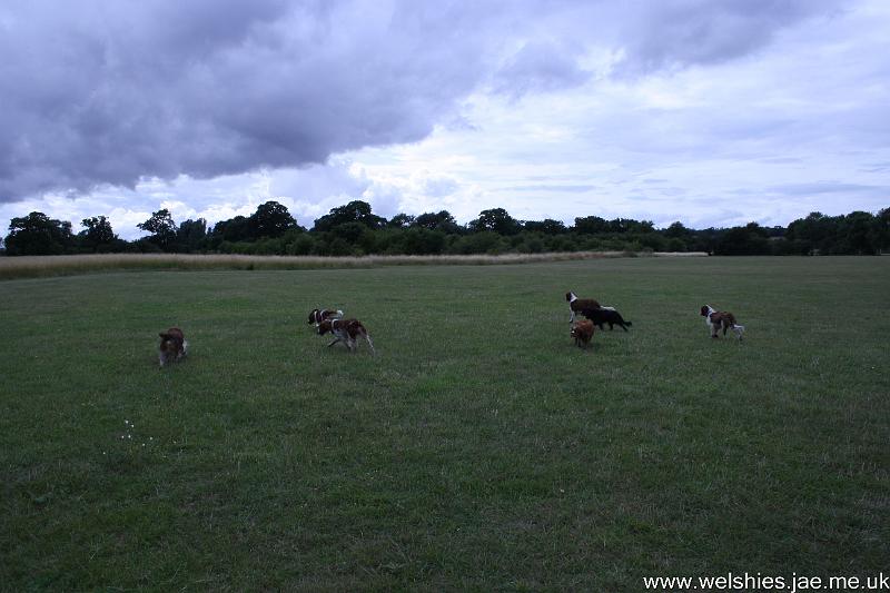 2009-07-19 23a11.jpg